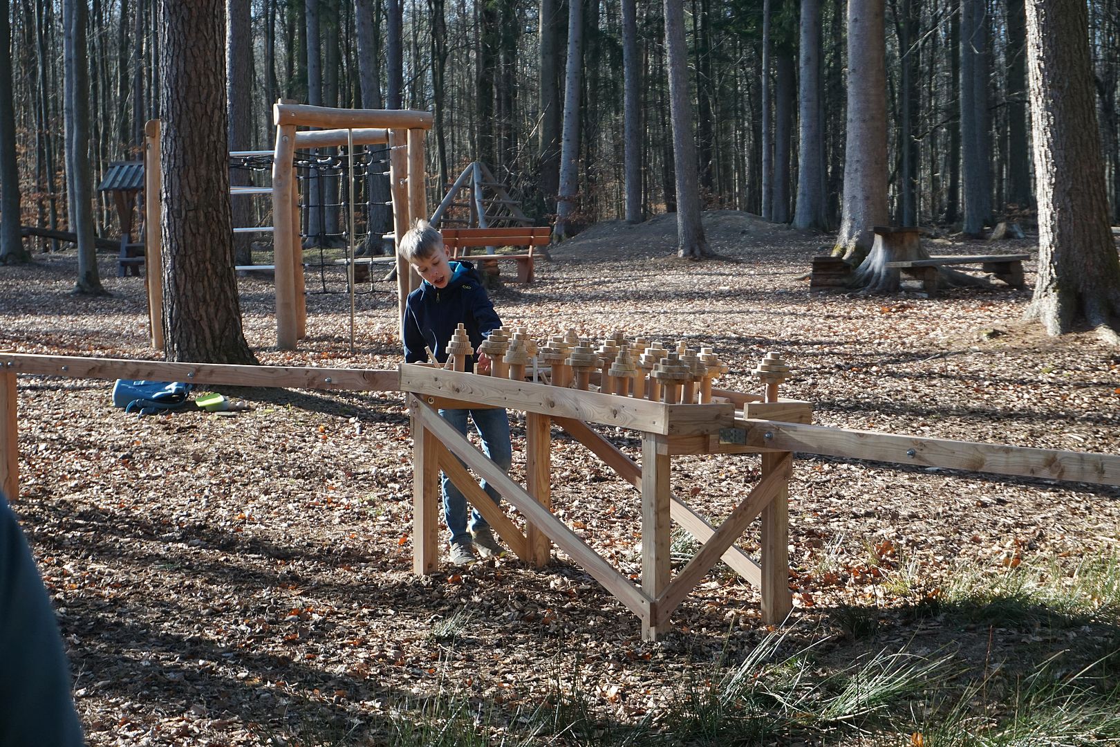 Kugelpfad Baumwipfelpfad Steigerwald