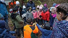 Bayerische Staatsforsten Baumwipfelpfad Steigerwald 