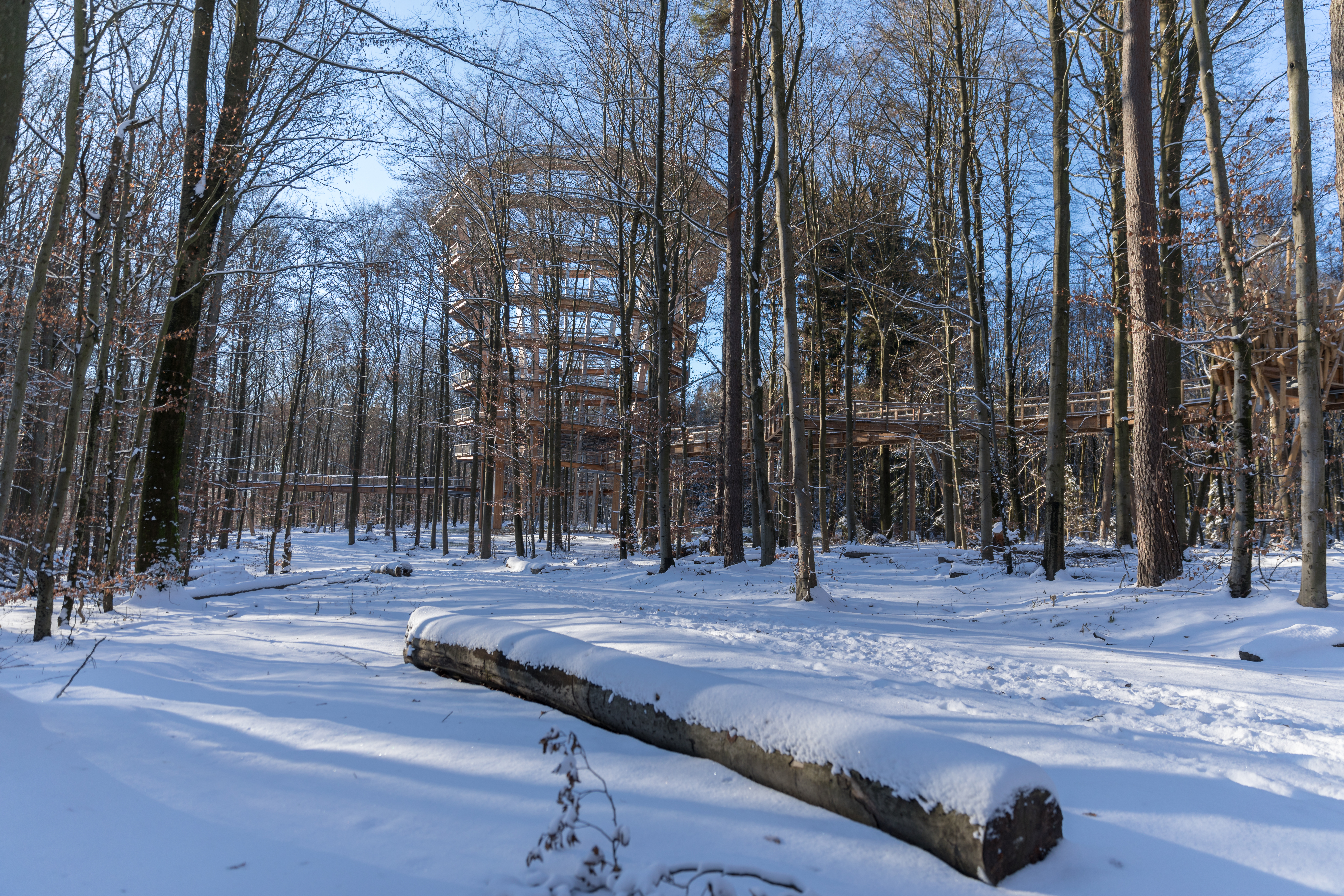 Winter auf dem Baumwipfelpfad
