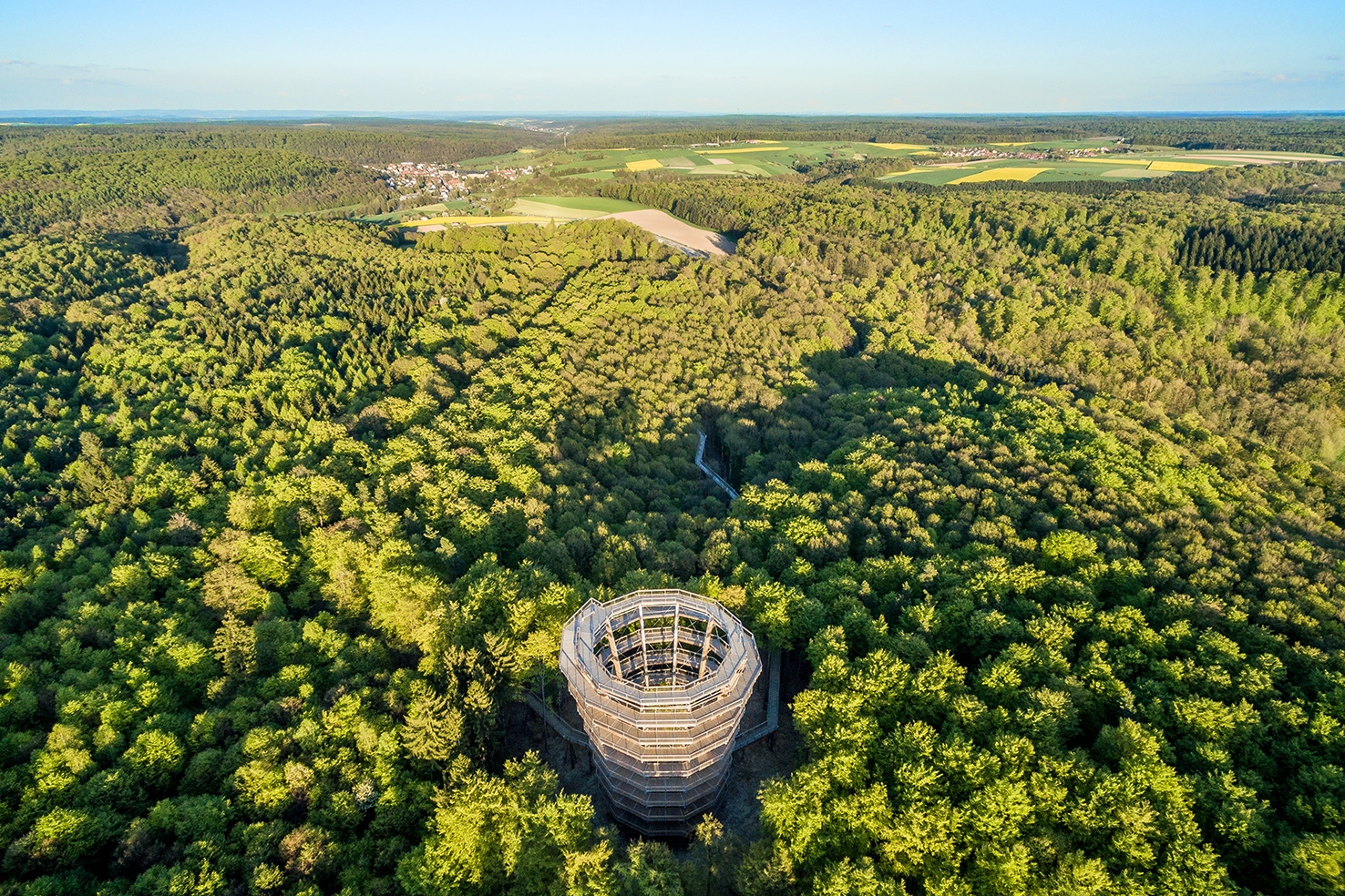 Baumwipfelpfad von oben
