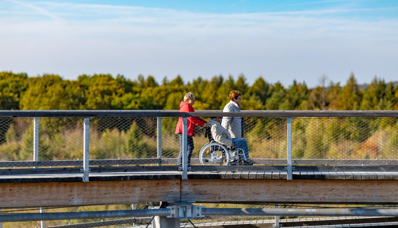 Personen am Baumwipfelpfad