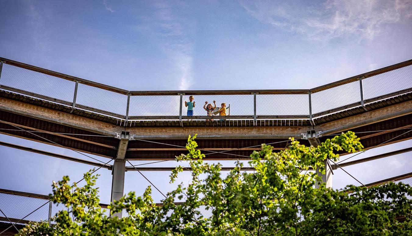 Kinder am Baumwipfelweg
