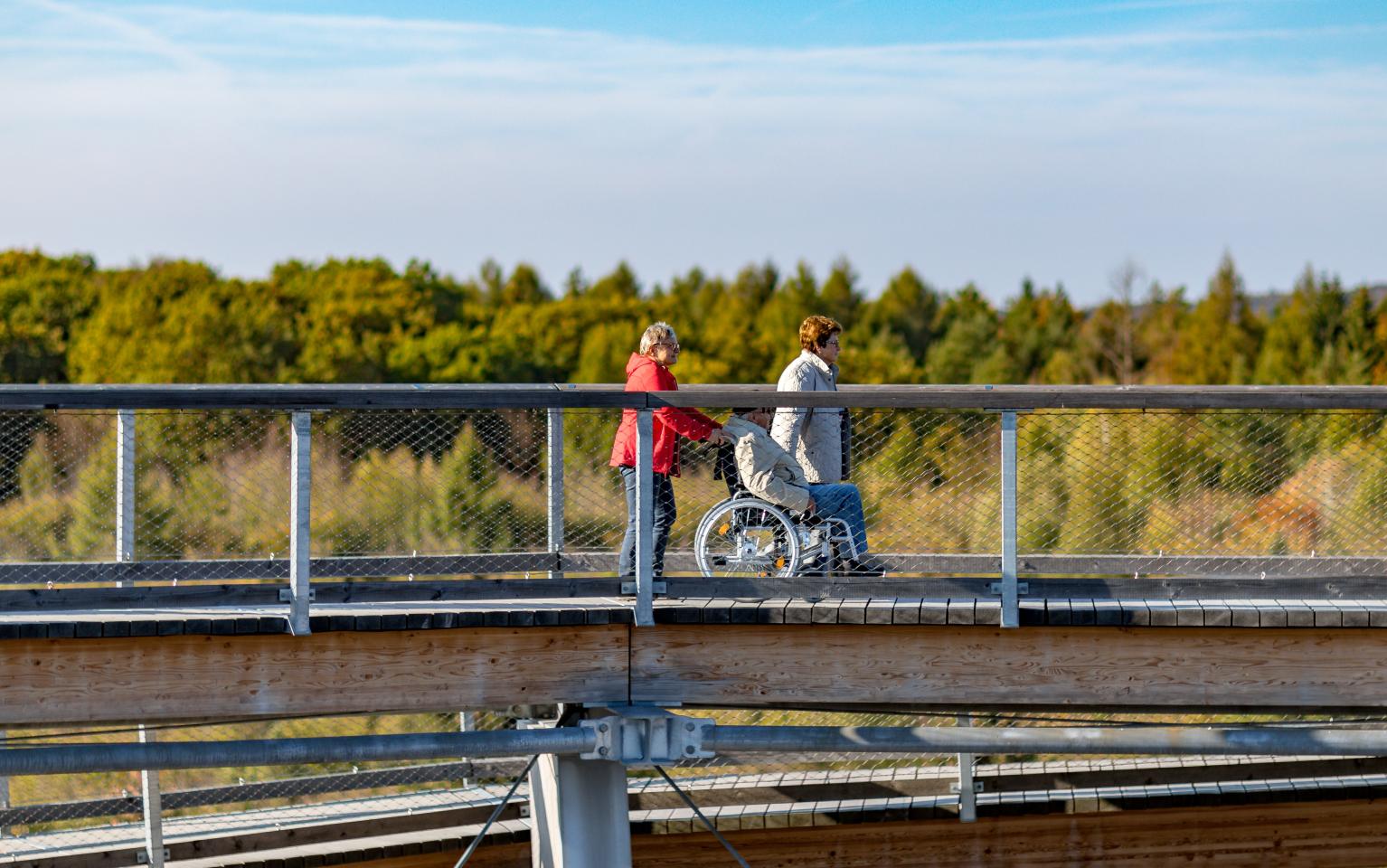 Personen am Baumwipfelpfad
