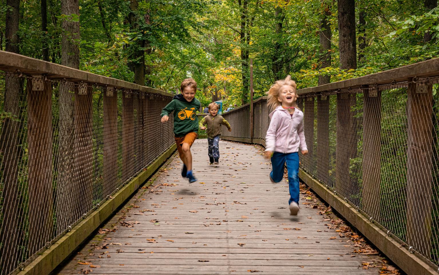 Baumwipfelpfad Steigerwald Kinder