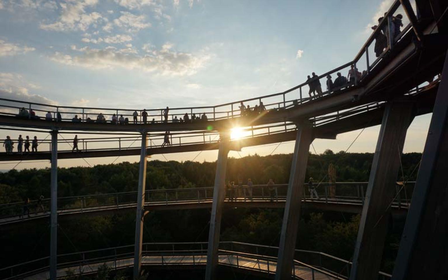 Menschen zum Sonnenuntergang am Baumwipfelweg
