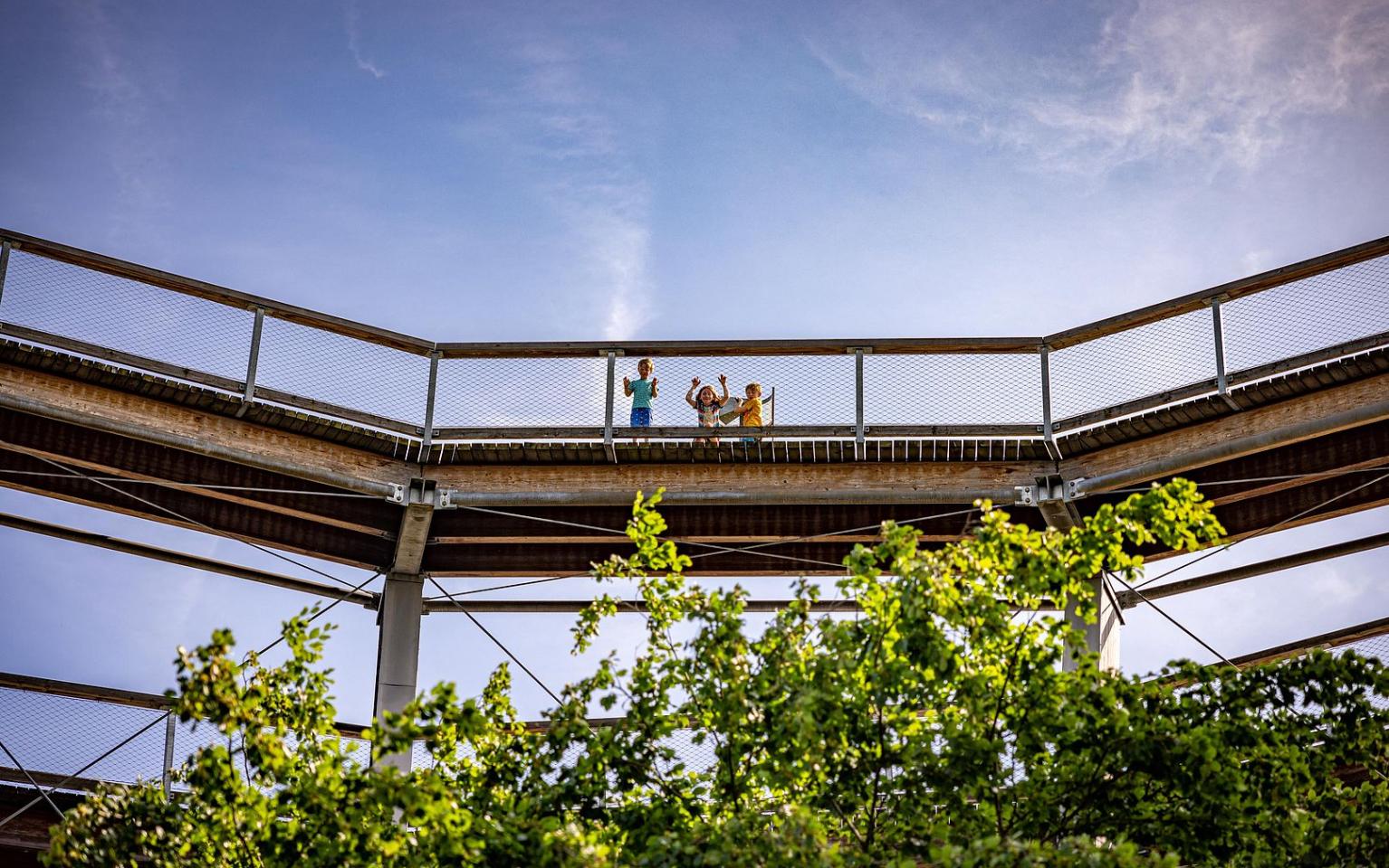 Kinder am Baumwipfelweg