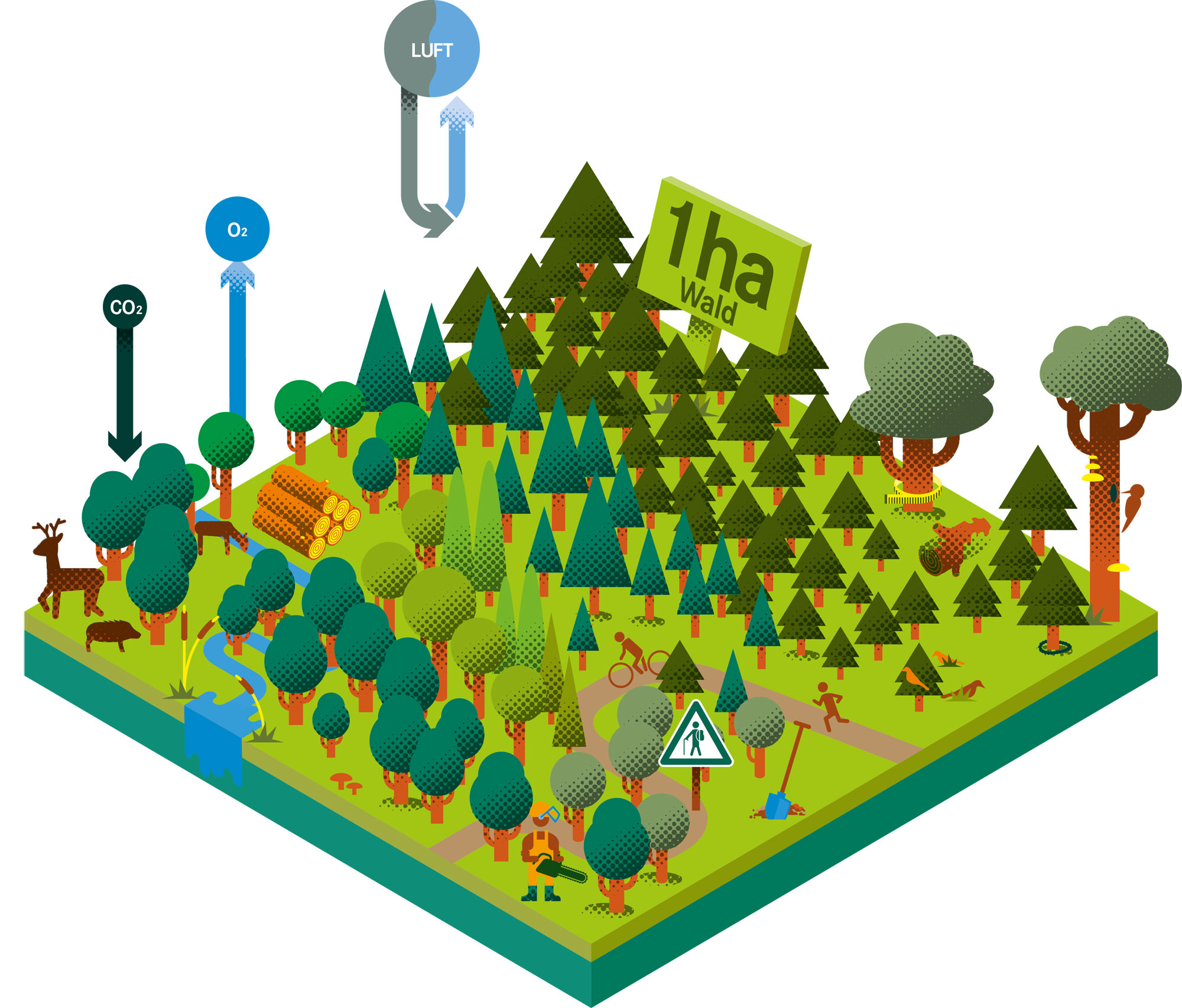 1 Hektar Wald Grafik