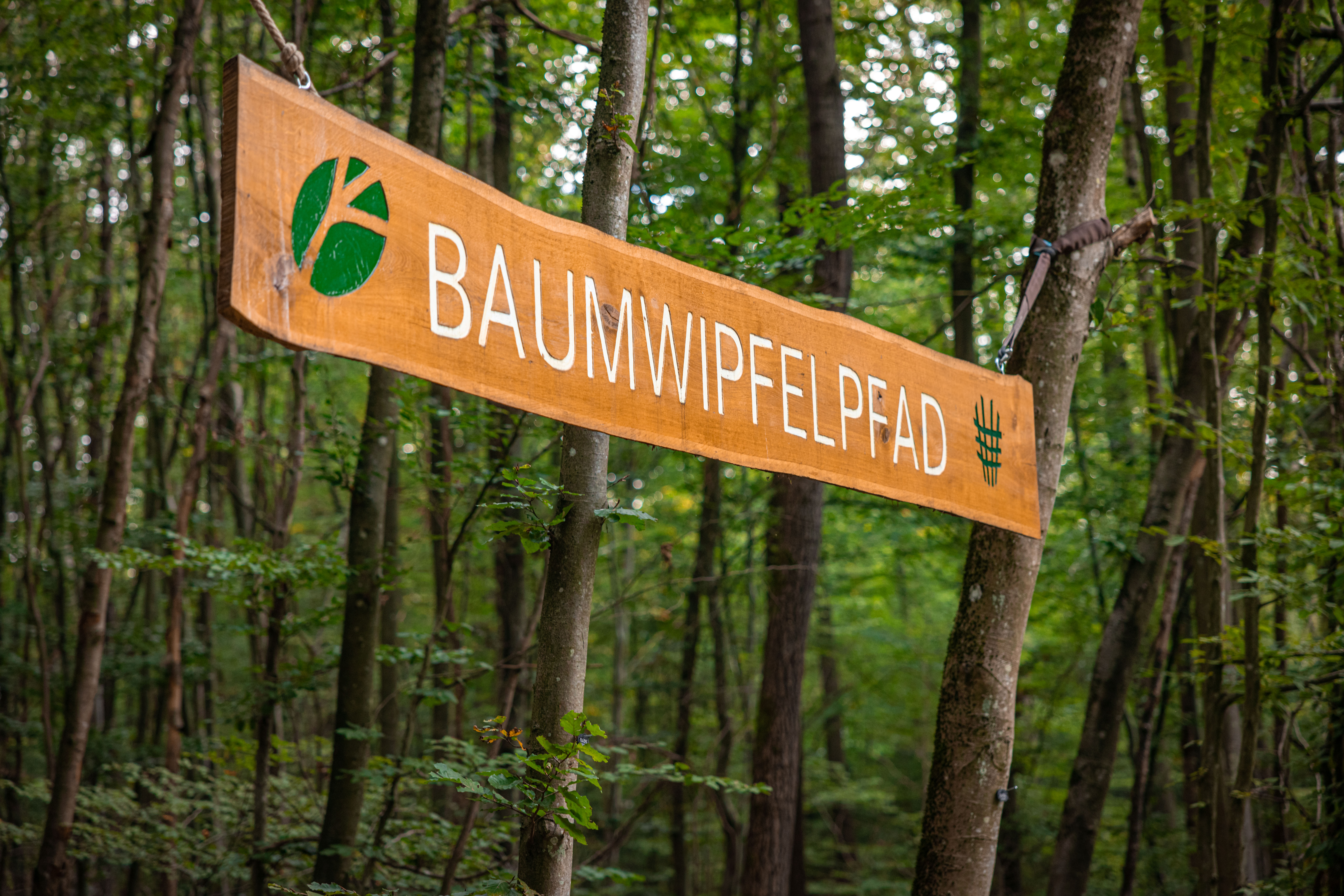 Schild Baumwipfelpfad