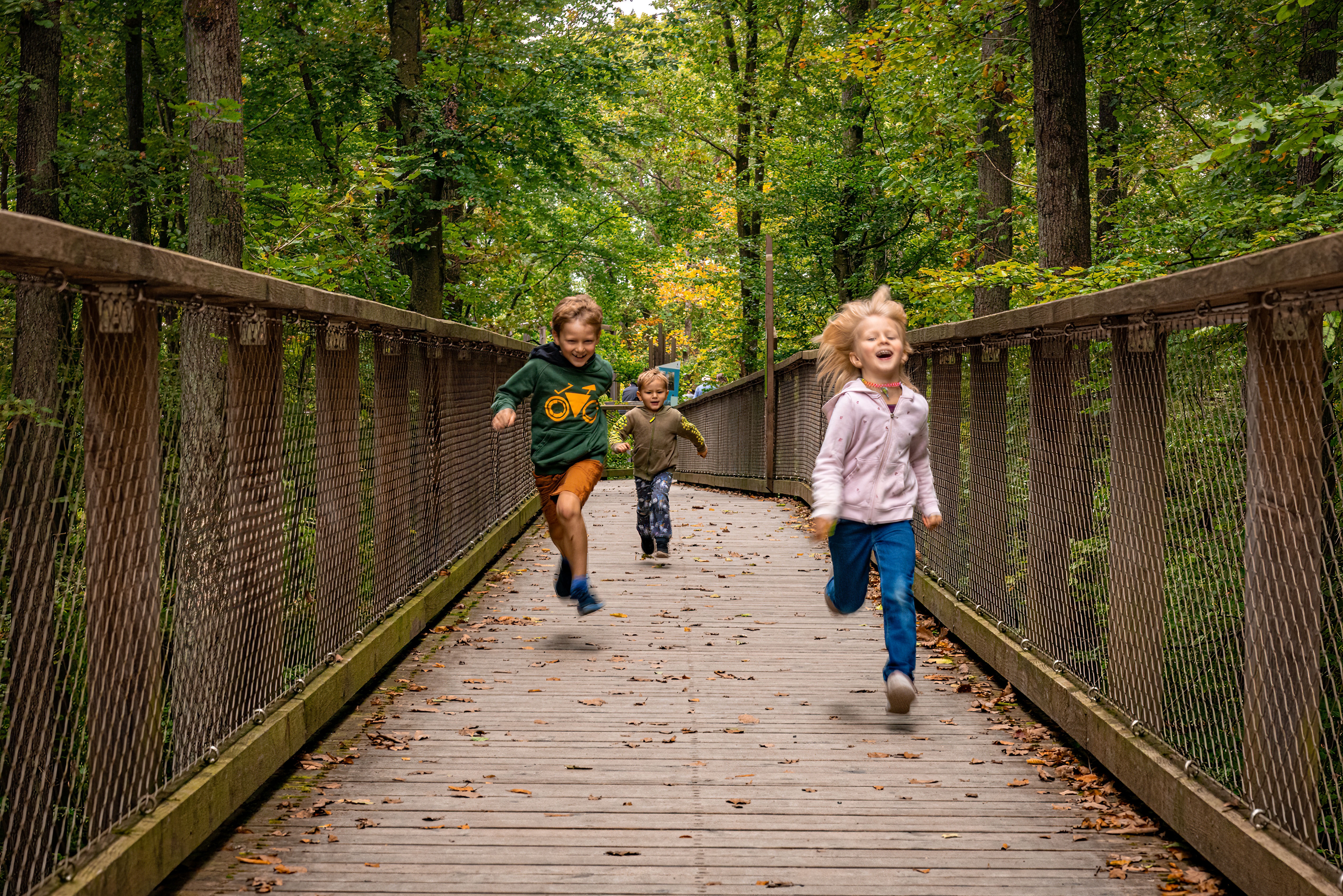 Baumwipfelpfad Steigerwald Kinder