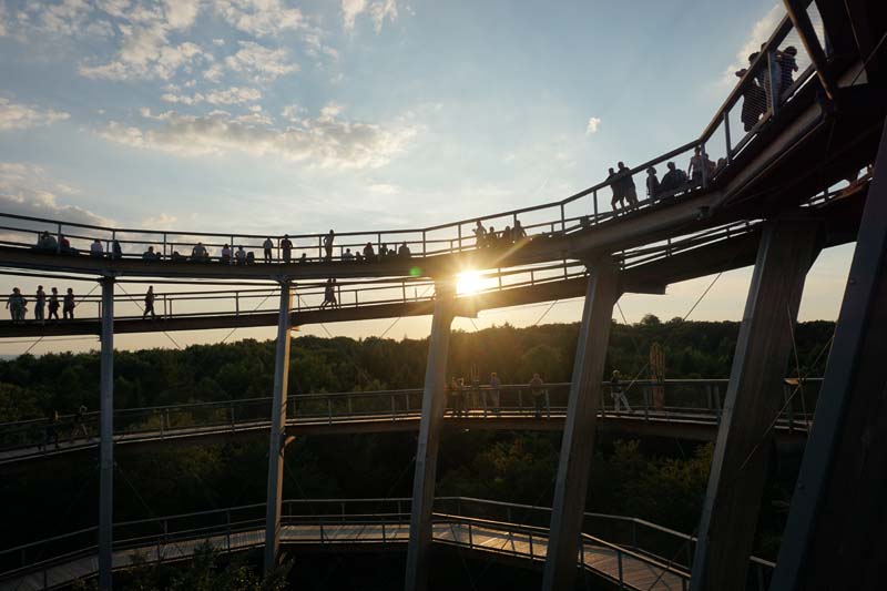 Menschen zum Sonnenuntergang am Baumwipfelweg