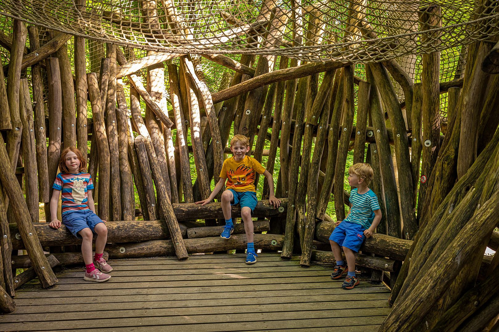 Drei Kinder am Baumwipfelpfad