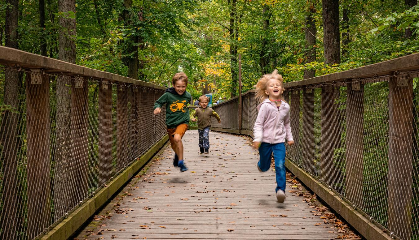 Kinder auf dem Baumwipfelpfad im Herbst