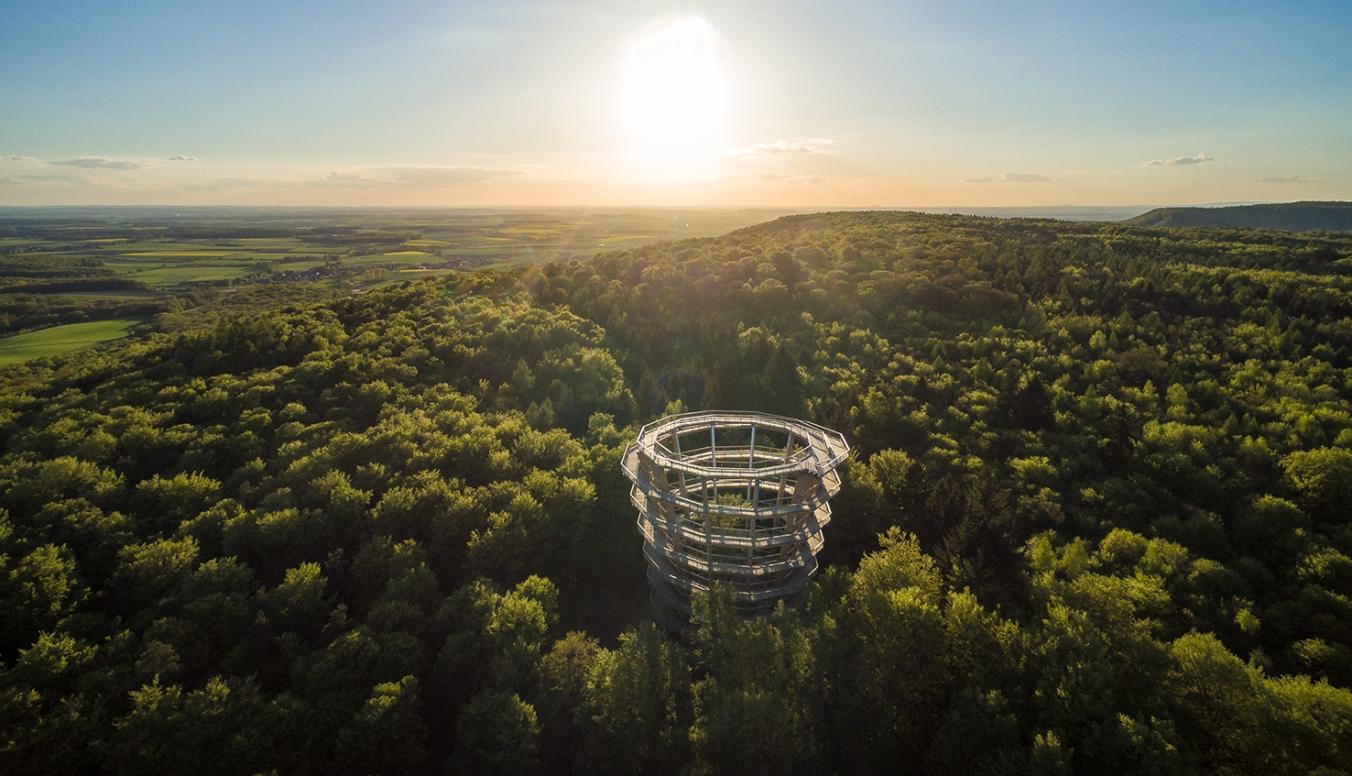 Baumwipfelpfad Steigerwald