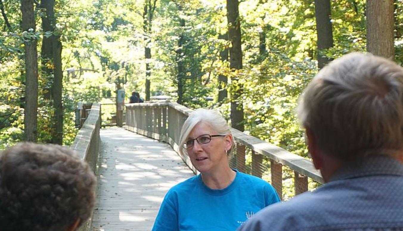 Mitarbeiter des Baumwipfelpfads erzählt