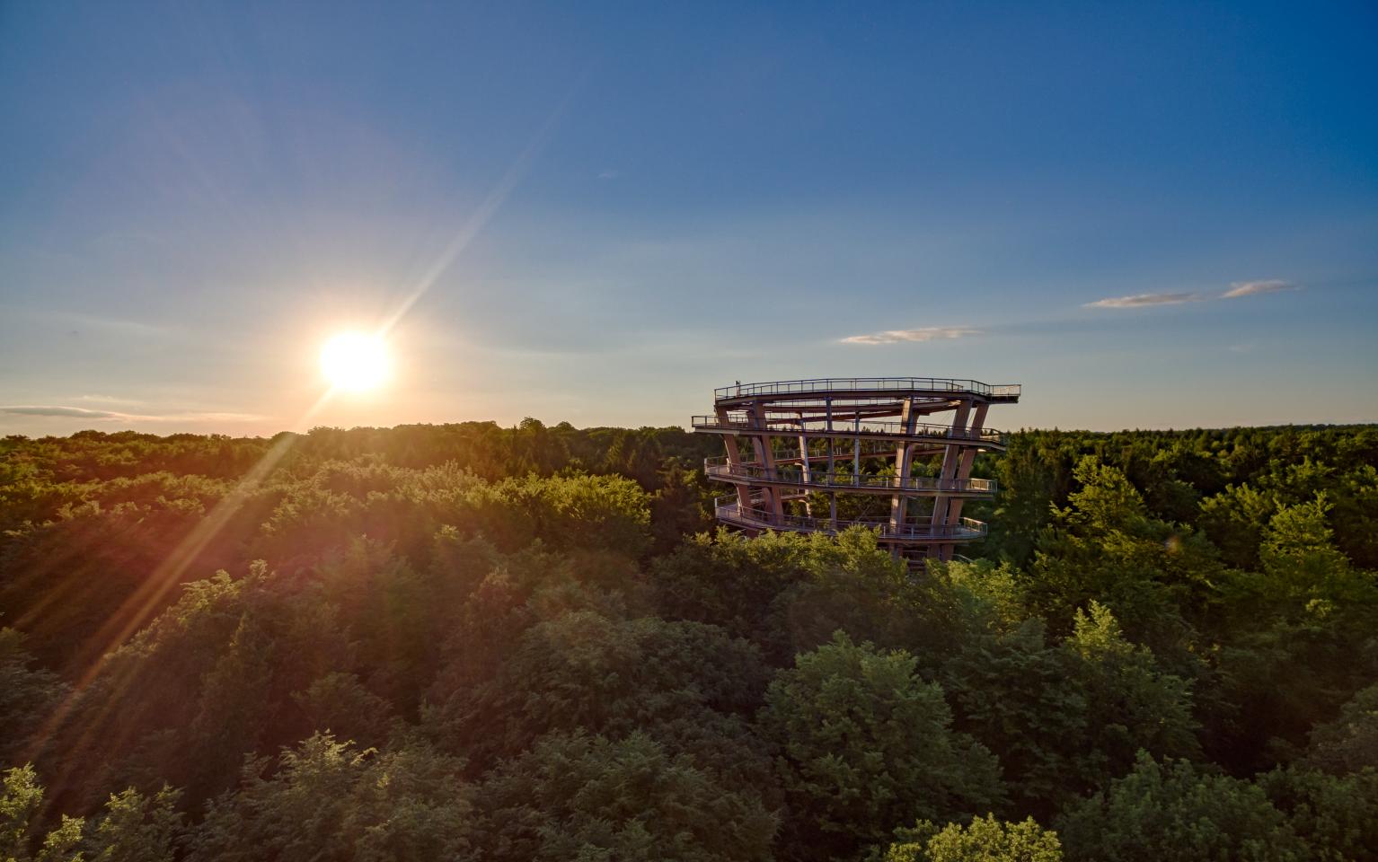 Beste Aussichten für und vom Baumwipfelpfad Steigerwald (c) Martin Hertel BaySF