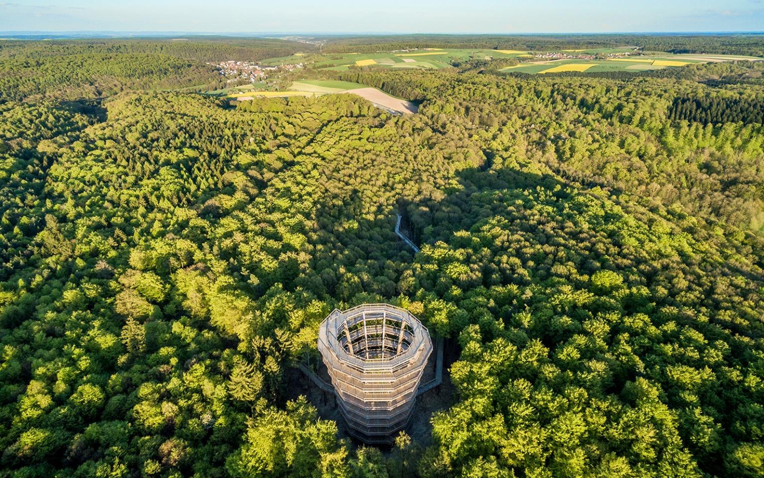Baumwipfelpfad von oben
