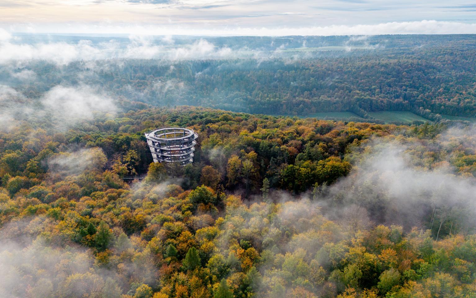 Vogelperspektive Baumwipfelpfad